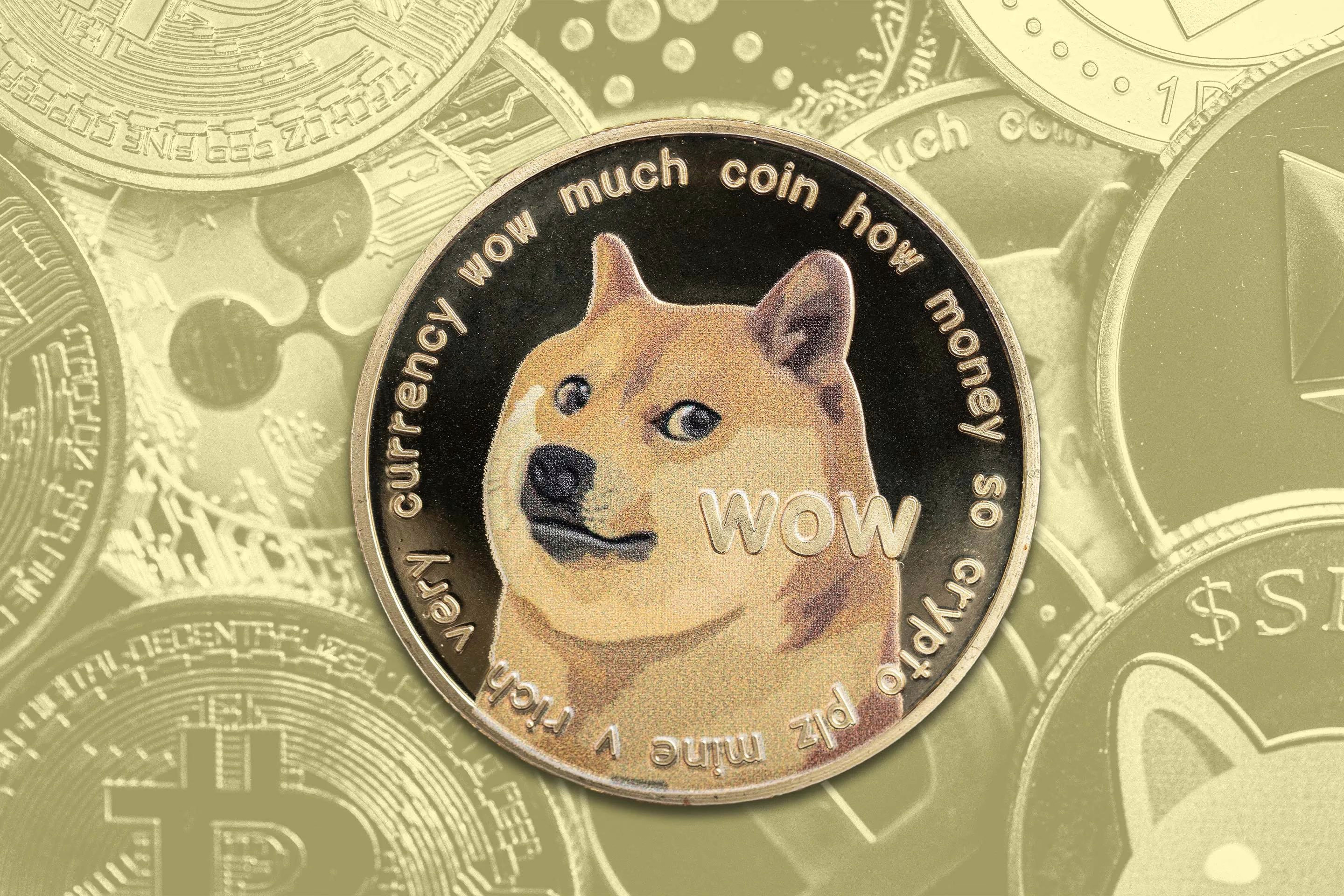 DOGE's Volatility and Institutional Inflow Dynamics: Can Crypto Markets Find Stability?