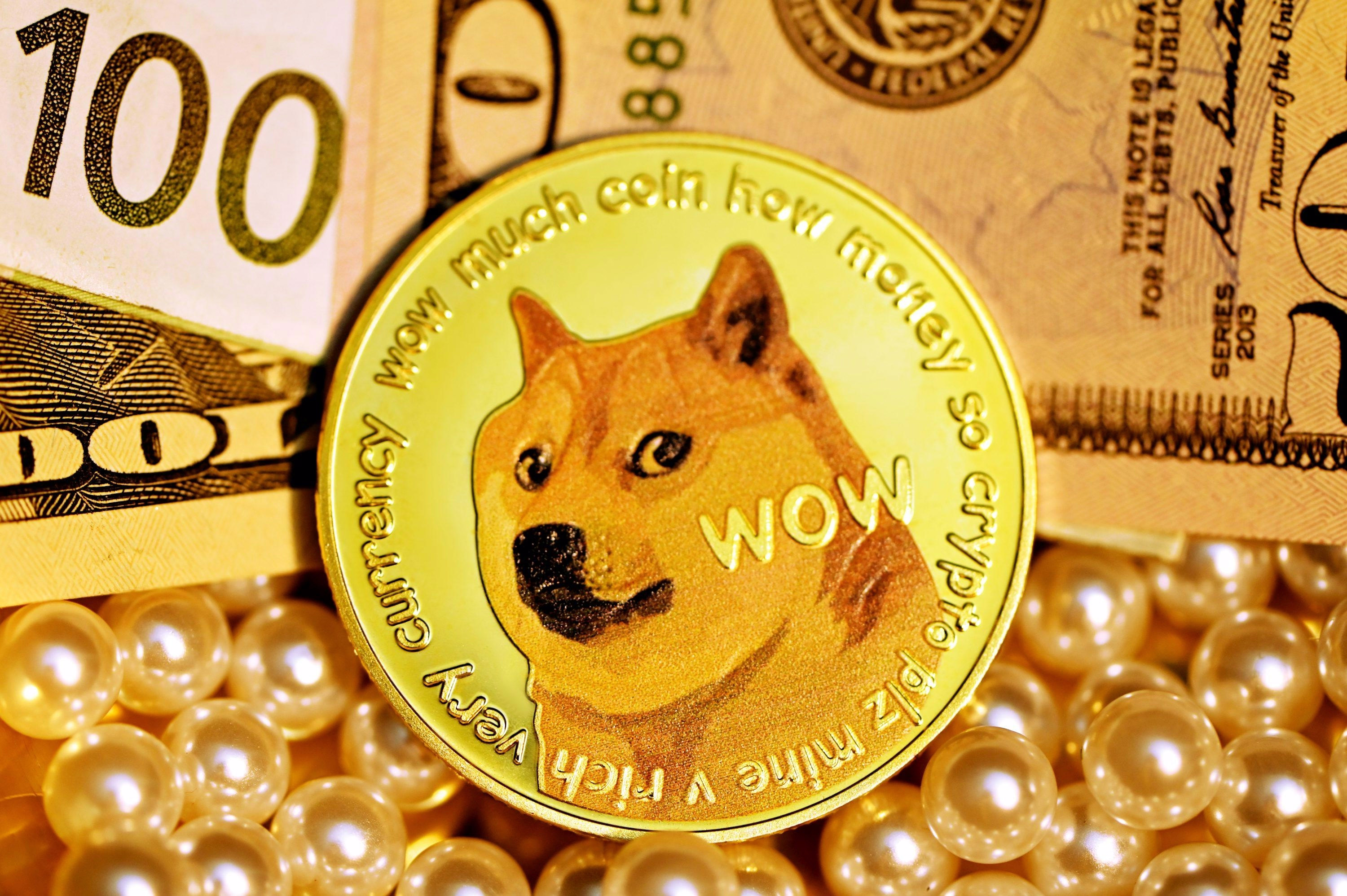 Dogecoin Declines as Investors Take Profits After Bitcoin Hits Record High